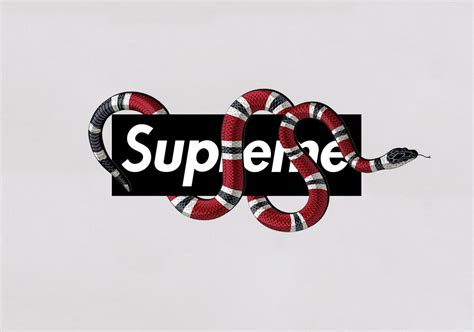 cover gucci x supreme serpente|The 25 Best Supreme Collabs .